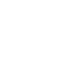 Megaphone Icon