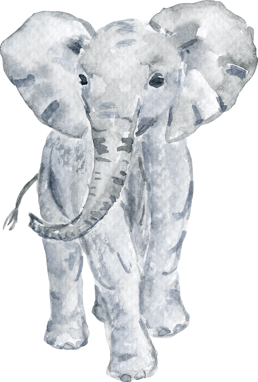 elephants